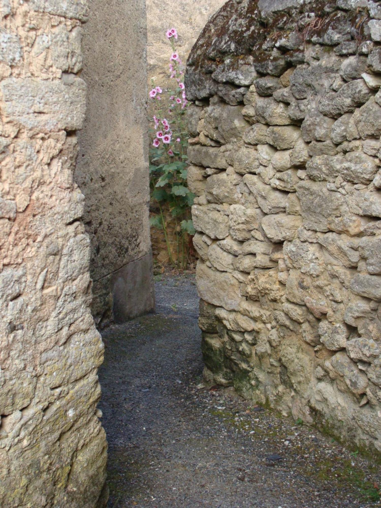 Gite Cote Ruelle Martigne-Briand Екстер'єр фото